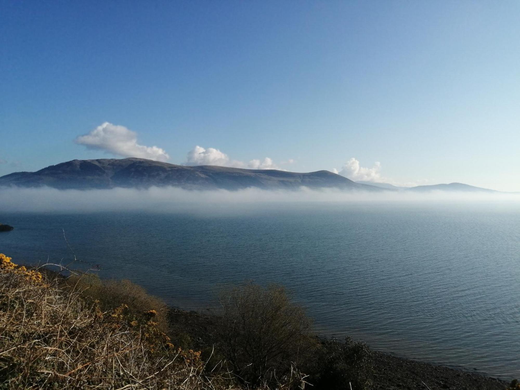 The Oystercatcher Bed and Breakfast Rostrevor Rum bild